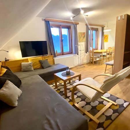 Apartman Ivko Letohrad Zewnętrze zdjęcie