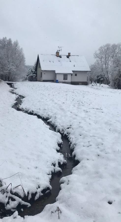 Apartman Ivko Letohrad Zewnętrze zdjęcie